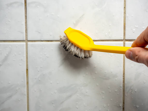 Best Certified Mold Removal  in Georgetown, DE