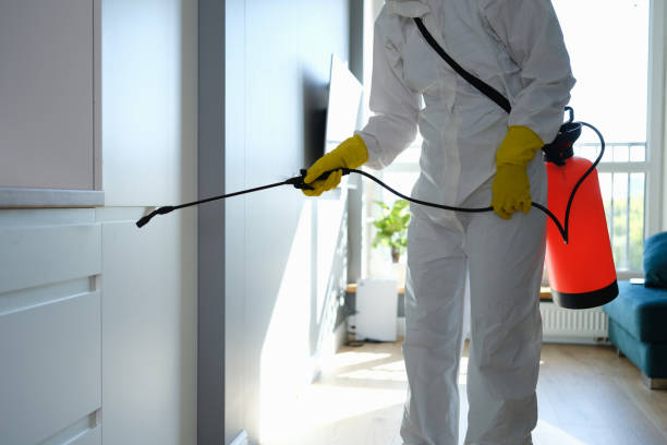Best Crawl Space Mold Removal  in Georgetown, DE
