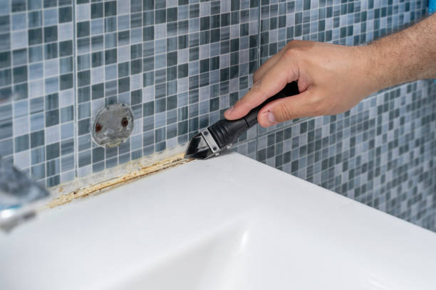 Attic Mold Removal in Georgetown, DE