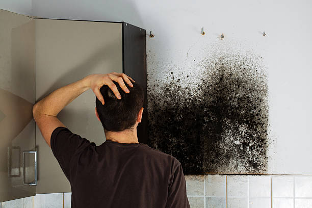 Best Emergency Mold Removal  in Georgetown, DE